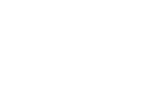 White Oval Gradient